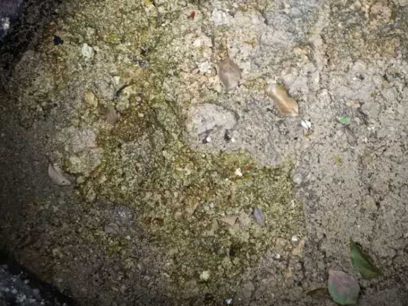 杭州西湖疏通厨房下水道疏通马桶卫生间疏通手机打捞